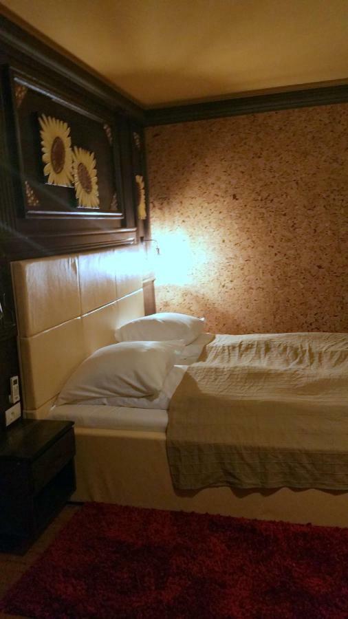Hotel Golden Spirit Băile Herculane Dış mekan fotoğraf